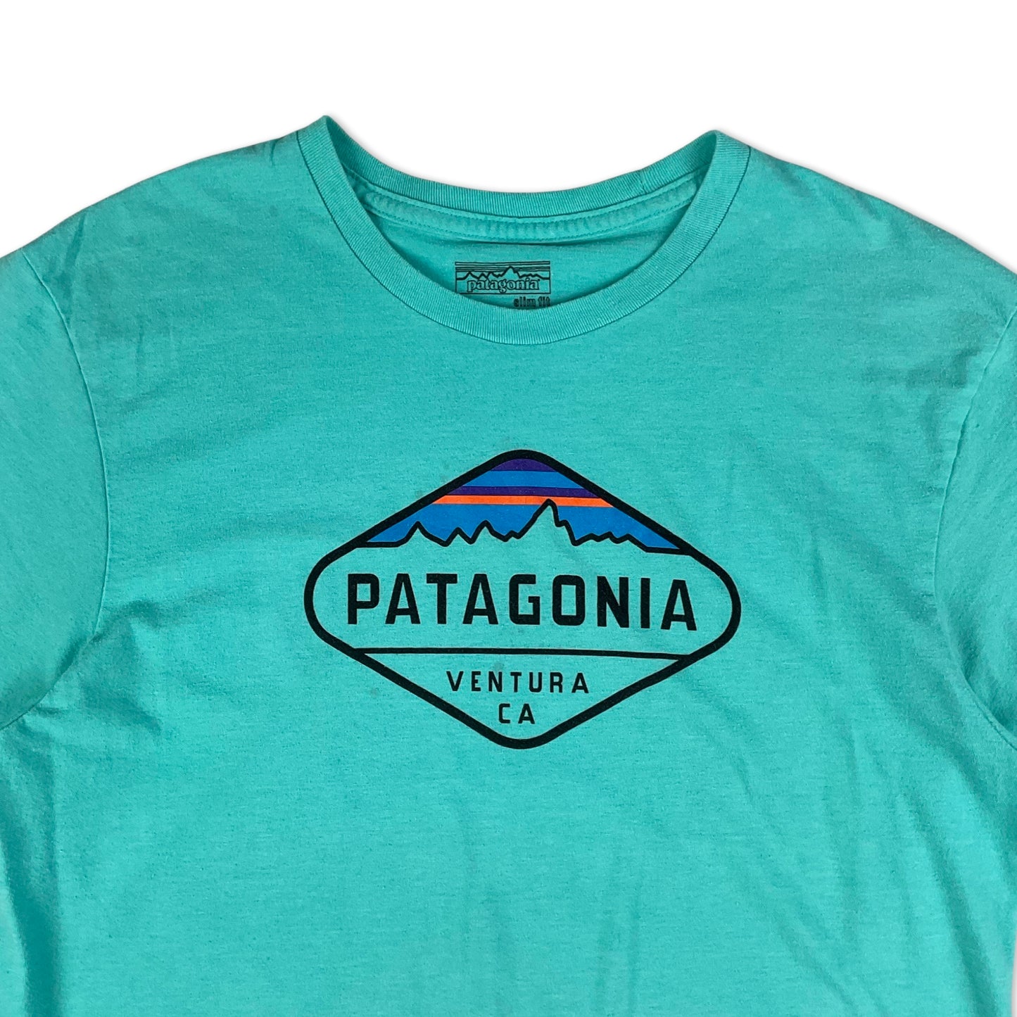Patagonia Light Blue Logo Print Tee XS S