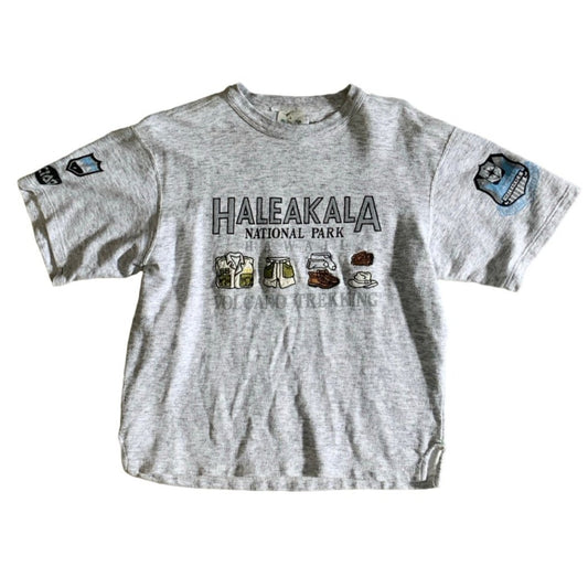 Vintage 90s Grey Haleakala National Park Hawaii Embroidered Graphic Tee