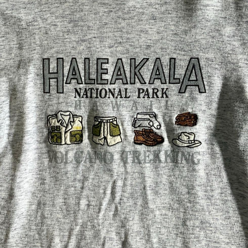 Vintage 90s Grey Haleakala National Park Hawaii Embroidered Graphic Tee