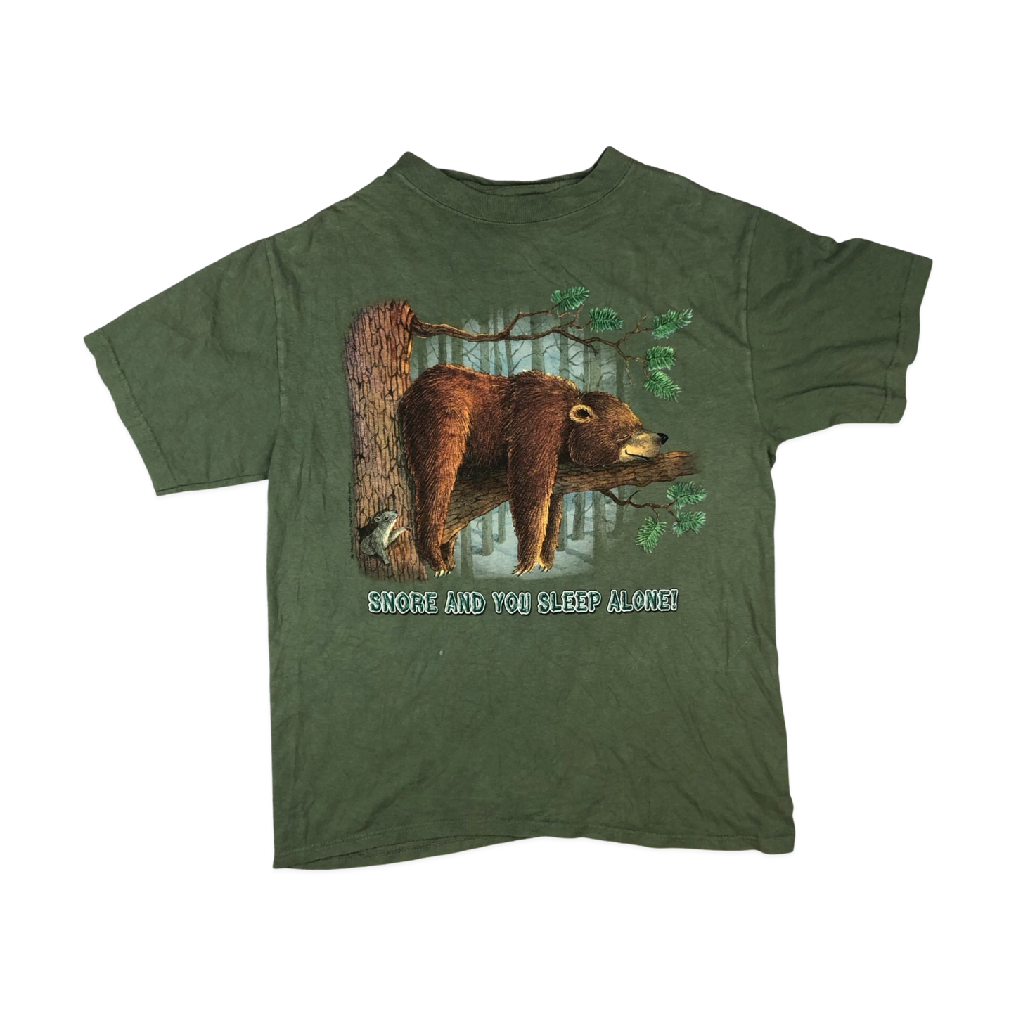 Vintage Green The Mountain Bear Graphic Novelty Tee S
